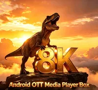 Différents types de box IPTV, mini PC, box Android TV 8K, streaming OTT Android avec chipset RK3528, 2 Go/4 Go de RAM, 16 Go/32 Go Allwinner H616 GHz