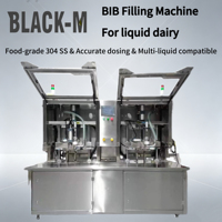Machine de remplissage semi-automatique à double tête pour sacs Bag-in-Box en acier inoxydable 304, idéale pour le ketchup, la liquide d'œuf et les sauces, facile à utiliser