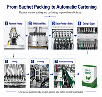 Ligne d'emballage clé en main pour sachets de poudre de probiotiques multi-voies (2 à 12 voies) avec machine de conditionnement en stick pack