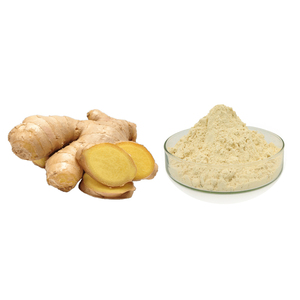 Cung cấp tự nhiên Gừng hữu cơ chiết xuất từ rễ bột gingerol <span class=keywords><strong>5</strong></span>% - Product Image 3