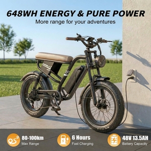 Bicicleta Cruiser MX10 con Cuadro de Acero, 48V 250W, Neumáticos Anchos Indexables, Horquilla Doble y Frenos Hidráulicos - Product Image 6