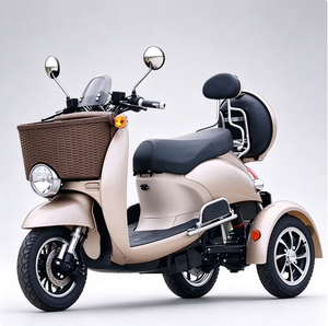 Trottinette Électrique <span class=keywords><strong>Adulte</strong></span> Little Turtle <span class=keywords><strong>Tricycle</strong></span> 60V pour Enfants et Personnes Âgées, Usage Domestique, Petite Moto Électrique sur Route - Product Image 3