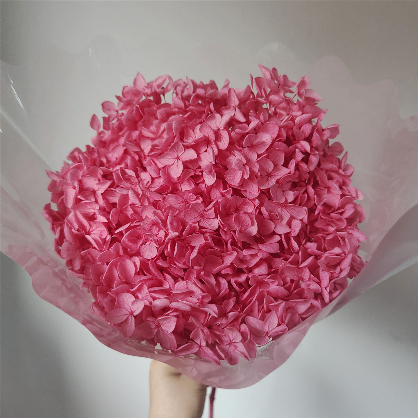 Dark pink, 18-21 cm