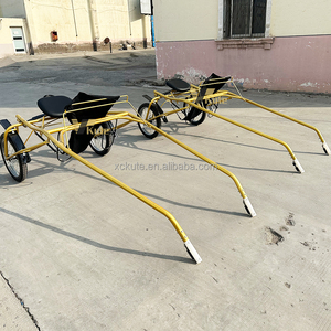 <span class=keywords><strong>Chariot</strong></span> de course populaire pour poney, <span class=keywords><strong>chariot</strong></span> à deux roues, nouveau <span class=keywords><strong>chariot</strong></span> de marathon, <span class=keywords><strong>en</strong></span> promotion - Product Image 1