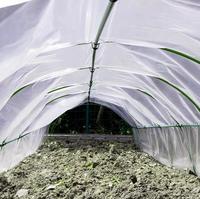 Serre miniature de jardinage en acier avec cerceaux en acier recouverts de plastique pour le soutien des plantes, tunnel de culture