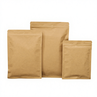 Sac en papier kraft brun ECO Source Factory pour le commerce de détail et impression de logo personnalisé