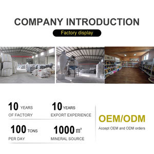 Jouets pour chat interactifs classiques modernes en plastique à mâcher, baguette rétractable et jouet à plumes pour taquiner - Product Image 5