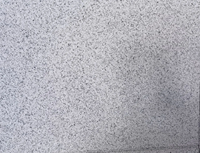 Carreaux de sol en granit blanc flammé, pierre naturelle - Design moderne, légers, durables, écologiques, découpés sur mesure, garantie 1 an