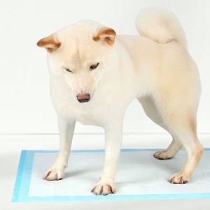 High Quality Puppy Training <b>Pad</b> <b>Waterproof</b> Wood Material Disposable Super Absorbent Dog Pee <b>Pad</b> - Product Image 4
