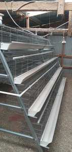 Cage à batterie neuve pour 1000 poulets Levage italien - Product Image 3