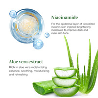 Masque en tissu hydratant et apaisant à l'aloe vera, niacinamide, collagène, acide hyaluronique et vitamine C, pour affiner les pores, marque privée, OEM ODM, 25ml