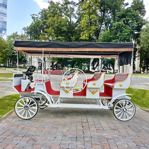 Chariots de luxe uniques <span class=keywords><strong>Sulky</strong></span> <span class=keywords><strong>Cart</strong></span> <span class=keywords><strong>Marathon</strong></span> <span class=keywords><strong>Horse</strong></span> <span class=keywords><strong>Carriage</strong></span> à vendre Voiture touristique de style européen - Product Image 6