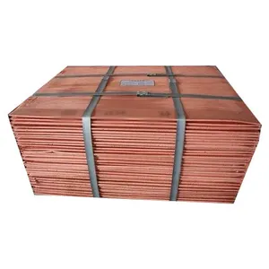 Precio de fábrica Alta pureza 99,9 Hoja de cátodo de cobre Placas de cátodos de cobre
