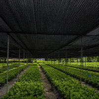 Schaduwnet - 100% HDPE Landbouwzonwering Net Op Maat GSM Zeil/Vouwpatronen 50-90% Schaduwpercentage UV-bescherming