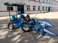 Moissonneuse-batteuse automotrice pour sorgho, maïs, riz et blé