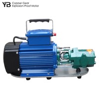 Pompe à engrenages électrique monophasée WCB 30, 1 CV, 30 LPM, 0,75 KW, en bronze, pour transfert de diesel, 2800 tr/min, avec interrupteur et prise, Fourniture B2B