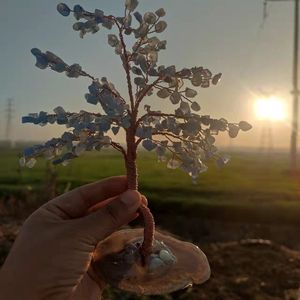 <b>Crystal</b> Chip <b>Tree</b> Money <b>Tree</b> Ornament Home Decoration Free Form East China Sea Origin - Product Image 5