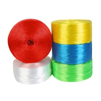 Corde Macramé Rouge 2cm Fibre Polyester pour Emballage, Fil Plastique, Fil Nylon, Rafia Polypropylène, Ficelle PP pour Conditionnement