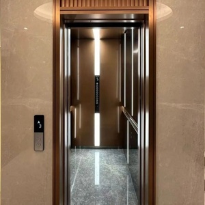 Ascensor Vertical Hidráulico Moderno para Discapacitados, Elevador Residencial para Interiores, Uso en Hoteles, Personalizable para Dos Pisos, Capacidad de Elevación 300/450 kg - Product Image 3