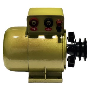Soudeuse à aimant YD-250 18KW 3500RPM 220V en aluminium moulé, combine les fonctions de production d'énergie, de soudage et de charge, fonctionnement silencieux - Product Image 4