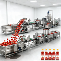 Ligne de production de jus de tomate. Usine complète de transformation de tomates, machine de remplissage de purée et de jus de tomates