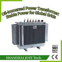 Transformador de potencia trifásico ONAN de 315 kVA, 11/0.4 kV, tipo aceite, bobinado de cobre, estándar IEC.