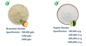 卸売パパイン<span class=keywords><strong>100</strong></span>,000 U/G 食品グレード<span class=keywords><strong>100</strong></span>%天然パパイヤエキス純粋パパイン酵素粉末 - Product Image 2
