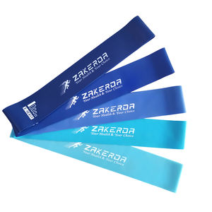 2024 Zakerda 새로운 아마존 체육관 휘트니스 스트레치 밴드 블루 미니 파워 루프 부티 저항 밴드 팔 운동 쉬운 운반 세트 - Product Image 5