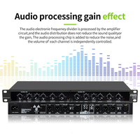 Processeur audio numérique professionnel RAYHAYES R-234, mixeur audio, égaliseur, processeur de signal audio numérique, gain