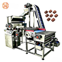 TUORONG Nouvelle Machine Multifonctionnelle Entièrement Automatique pour l'Application de Noix et de Confettis au Chocolat