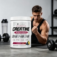 Wins Town Créatine Monohydrate en Poudre Saveur Myrtille Citron avec HMB Électrolytes Complément Alimentaire pour la Force Musculaire et la Récupération