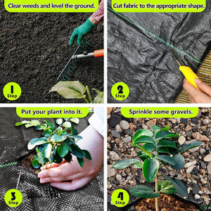 Manta de Cobertura para Árboles No Tejida, Protector de Plantas 100% Polipropileno Ecológico <span class=keywords><strong>CHAQ</strong></span> para Uso Agrícola con Servicios de Corte - Product Image 4