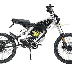 Motocicleta Todoterreno EX1 E, 48V 3000W 40Ah 11KW, 29 Pulgadas, Suspensión Completa, para Carretera y Montaña, con Batería de 48V - Product Image 1