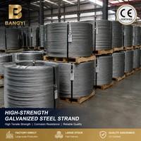 Premium gegalvaniseerde stalen draad, rechtstreeks van de fabriek, hoogwaardig koolstofstaal spankabel met CE- en ISO-certificering voor wereldwijde projecten