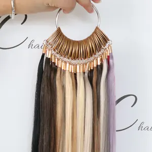 2021 New Hot Remy Hair Balayage Ombre Color Chart Rings 47 Colors Hair Extensions For Salon