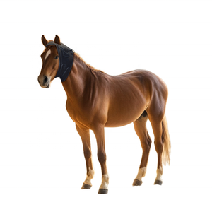 Casque de soulagement de la douleur pour chevaux et chiens à lumière rouge 660nm 850nm, batterie au lithium rechargeable 10W, traitement infrarouge pour la santé animale - Product Image 3