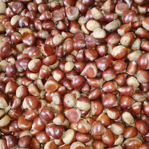 <span class=keywords><strong>Castagne</strong></span> Dolci Crude Premium all'Ingrosso, <span class=keywords><strong>Castagne</strong></span> Cinesi Dandong Tai'an Marrone per Snack, Dessert e Zuppe - Product Image 2