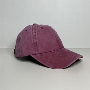 Invierno y otoño personalidad Retro Color sólido placa ligera algodón béisbol deporte al aire libre sombrilla <span class=keywords><strong>gorra</strong></span> - Product Image 6