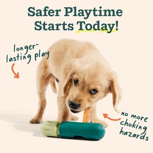 WOOF BullySafe Gamelles écologiques pour chiens Support à mâcher durable et facile à nettoyer, sans bouts avalés, sans danger pour le jeu. - Product Image 3