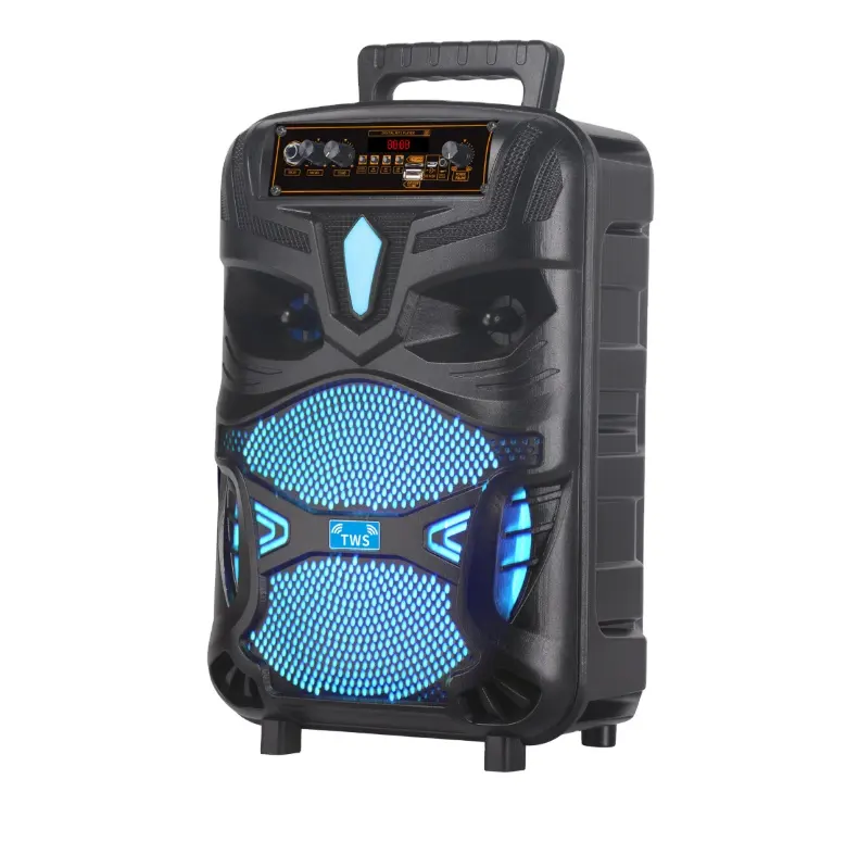 Nouveau produit Big Boombox 2 haut-parleur sans fil alimenté Blue Tooth DJ Outdoor Party haut-parleur portable avec poignée et micro