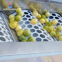 Fabriek Prijs Automatische Fruit Groente Sorteren Apple Aardappel Tomaat Oranje Avocado Ui Grading Wassen Size Wegen Machine
