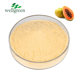 Estratto sfuso essiccato India ISO puro Papaya fresco frutta papaina enzima in polvere Papaya frutta in polvere - Product Image 1