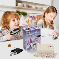 Kit de Excavación de Gemas, Planeta Tierra, Proyecto de Ciencias Geográficas, Set Educativo STEM, Colección de Minerales y Rocas, Caja de Descubrimiento, Herramientas y Equipo