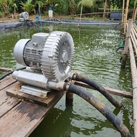 Souffleur annulaire monophasé 220V pour ferme piscicole, aérateur 750W 1HP, pompe à air pour aquaculture