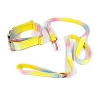 Correa para Perro Lunong Fashion con Degradado de Color Personalizado, Logotipo en Cinta, Clip de Liberación Rápida, Lavable a Máquina, Poliéster Duradero