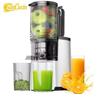 Extracteur de jus à mastication lente avancé 2025 pour usage domestique |   Presse à froid compacte pour jus de fruits et légumes avec fonctionnement silencieux - Product Image 1