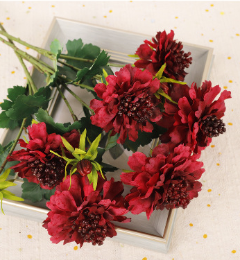 ม่วงแดง