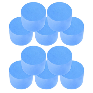 10 Uds. Absorbente <span class=keywords><strong>de</strong></span> agua Pva esponja partículas hormiga alimentador mascota hormiga tubo <span class=keywords><strong>de</strong></span> prueba especial Bloqueo <span class=keywords><strong>de</strong></span> agua esponja tira nuevo nido trasero - Product Image 5