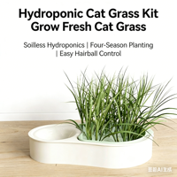 Pot de plantation en plastique en gros pour la santé et la sécurité des chats, pot de plante en forme d'avocat 2-en-1, durable et écologique, gamelle pour chat