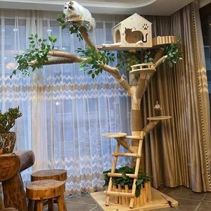 Oferta Especial Liquidación: Juego <span class=keywords><strong>de</strong></span> <span class=keywords><strong>Cama</strong></span> y Juguete para Gatos <span class=keywords><strong>con</strong></span> Poste <span class=keywords><strong>Rascador</strong></span>, Árbol para Trepar, Diseño <span class=keywords><strong>de</strong></span> Casa <span class=keywords><strong>de</strong></span> Árbol, Instalación Fácil, Tela <span class=keywords><strong>de</strong></span> Yute - Product Image 1